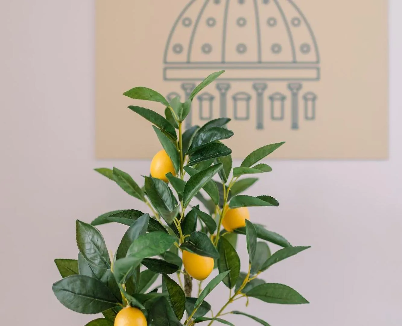 Apartment Delizioso Appartamento In Zona Vaticano Rome Italy